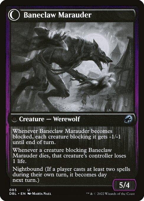 Baneblade Scoundrel // Baneclaw Marauder (back)