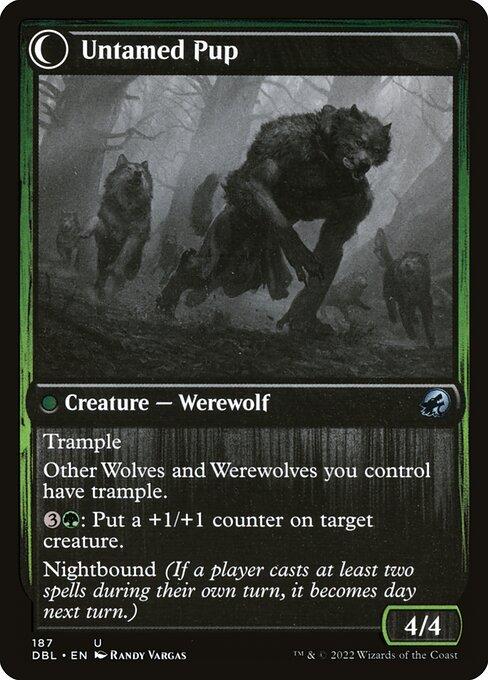 Hound Tamer // Untamed Pup (back)
