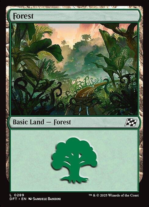 Forest (V.2)