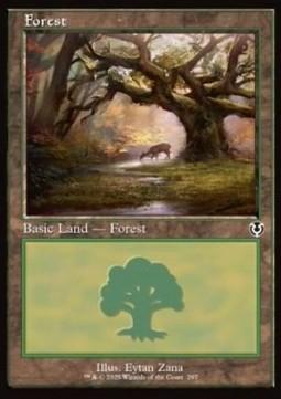 Forest (V.2)