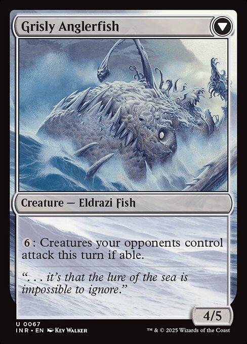 Grizzled Angler / Grisly Anglerfish (back)