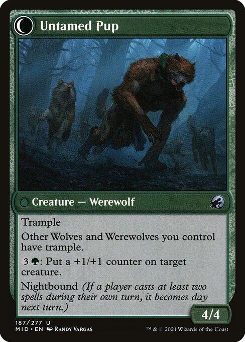 Hound Tamer // Untamed Pup (back)