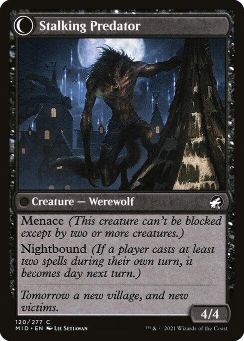 Shady Traveler // Stalking Predator (back)