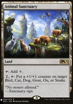 Animal Sanctuary