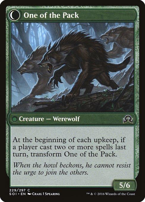 Solitary Hunter / One of the Pack (back)