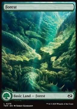Forest (V.1)