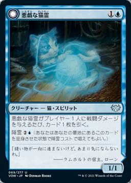Mischievous Catgeist // Catlike Curiosity