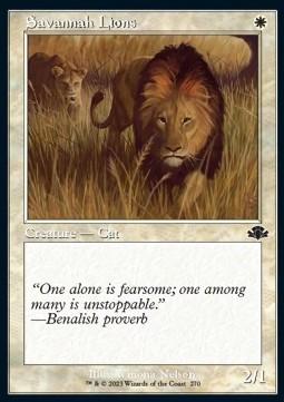 Savannah Lions