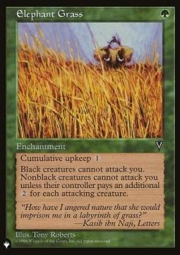 Elephant Grass