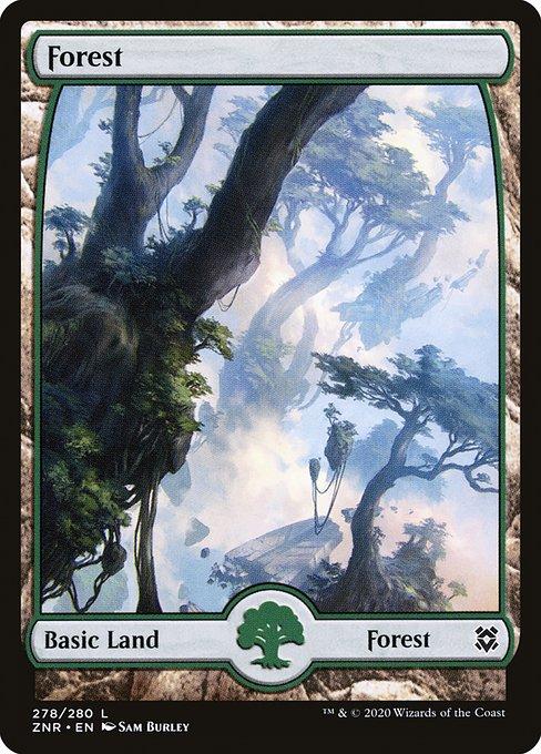 Forest (V.1)