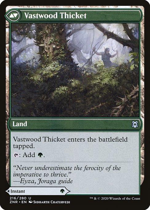 Vastwood Fortification // Vastwood Thicket (back)