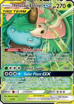 Venusaur & Snivy GX 