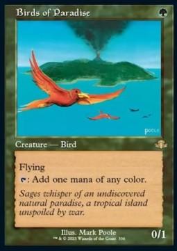 Birds of Paradise (V.1)