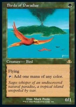 Birds of Paradise (V.1)