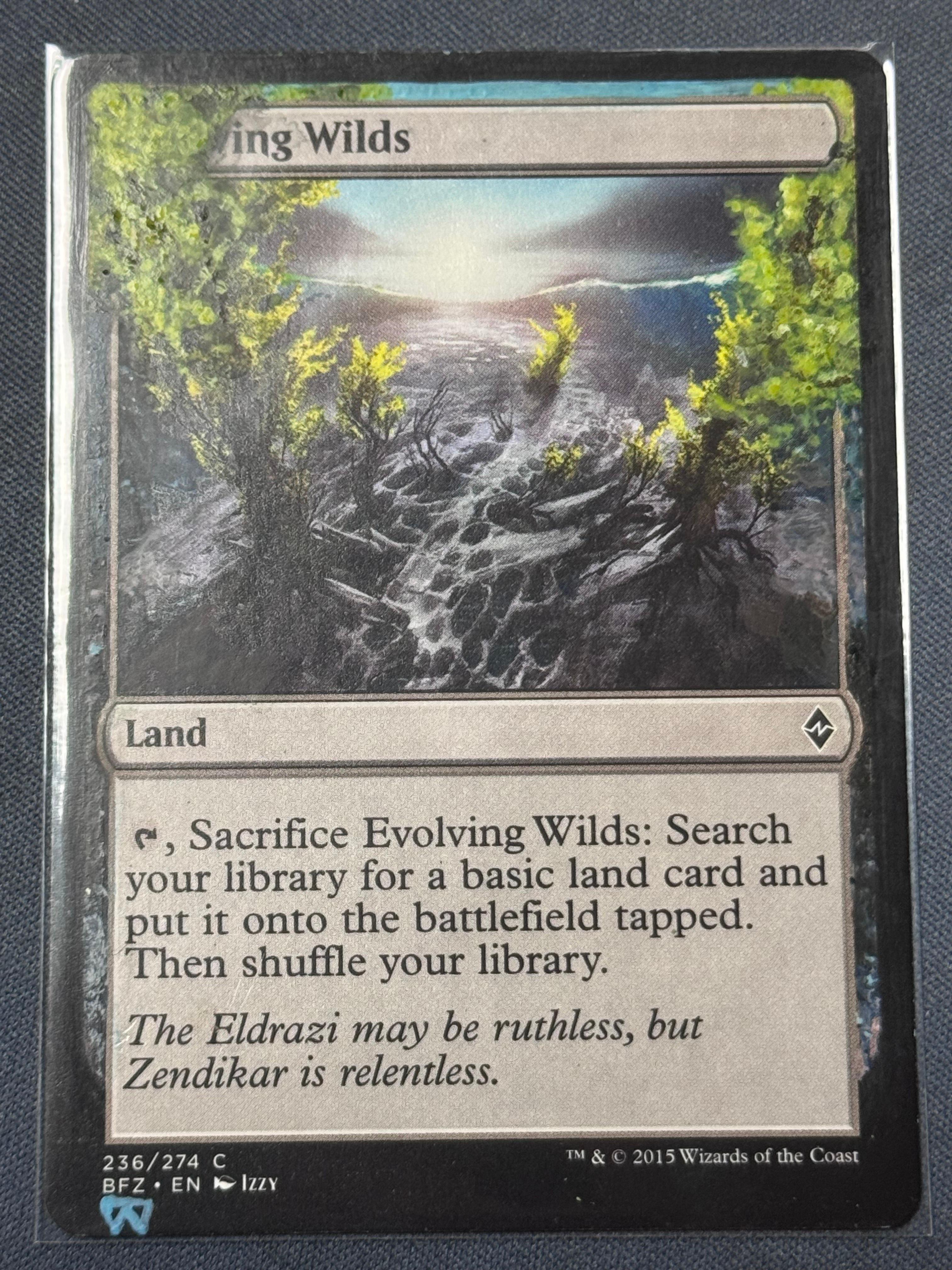 Evolving Wilds