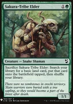 Sakura-Tribe Elder