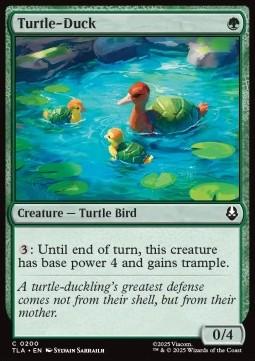 Turtle-Duck